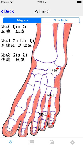 Chrono-Acupuncture Screen 3
