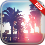 California Wallpapers  Icon
