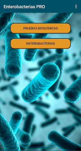 Android application Enterobacterias Pro screenshort