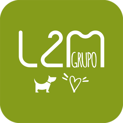L2M Download on Windows