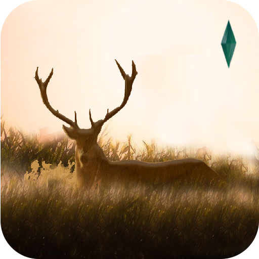 Elixir - Deer Running Game