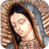 Virgen De Guadalupe 2017 icon
