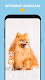 screenshot of DogCam - Dog Selfie Filters an