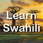 Cover Image of Herunterladen Fast - Learn Swahili Language  APK