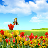Stunning Nature Wallpapers icon