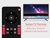 screenshot of Sanyo TV Remote Control