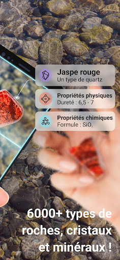Rock Identifier: Roche, Pierre screenshot 2