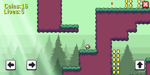 Platformer 2D Screen 3