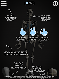 Skelly: Poseable Anatomy Model - Screenshot Image