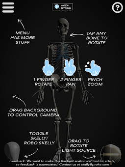 Skelly: Poseable Anatomy Model screenshot 13