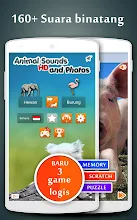 Suara Binatang Aplikasi Di Google Play