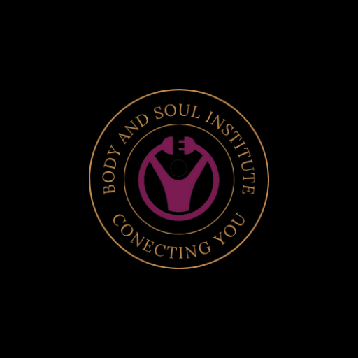 Body and Soul Institute logo