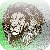Slide Puzzle lion icon