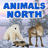 Animals North icon