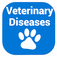 Veterinary Diseases Treatments
