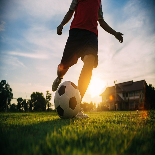 International player logo