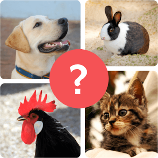 Animal Quiz - Guess Animal apk
