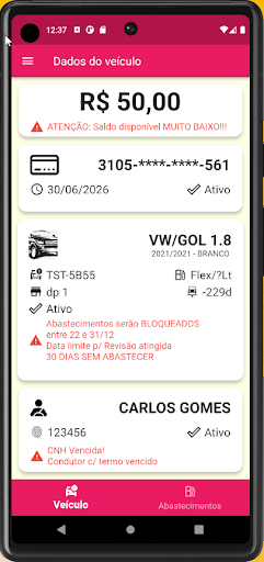 GOLDI Frota Screen 3