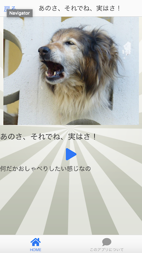 Download イヌトーーク 犬と話す際のお遊び補助アプリ 永久無料 Free For Android イヌトーーク 犬と話す 際のお遊び補助アプリ 永久無料 Apk Download Steprimo Com