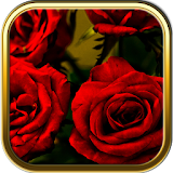 Rose Garden Puzzle Games icon