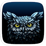 Cool Owl Wallpaper Theme icon