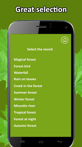 Relax Forest Screen 2