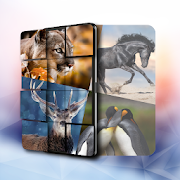 Cute animals jigsaw puzzle games 🐼🐟🐤  Icon
