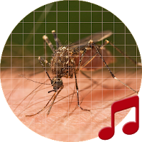 Mosquito Звуки ~ Sboard.pro