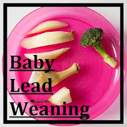 Baby Led Weaning Food Ideas