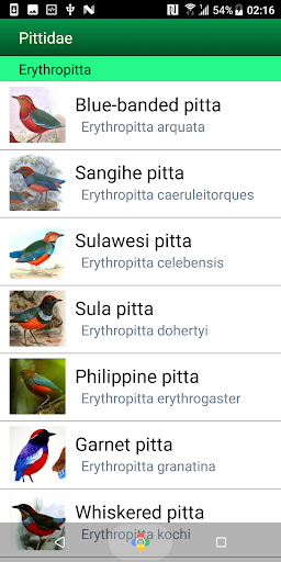 Birds of the Southeastern Asia Screen 3