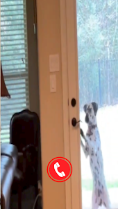 Dalmatian Fake Video Call