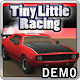 Tiny Little Racing Demo