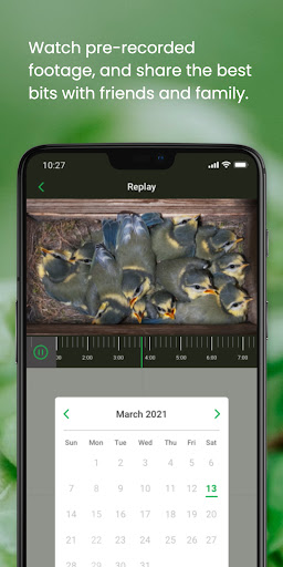 Green Feathers Screenshot 4 - AppWisp.com