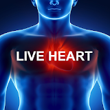 3D Heart of Human. icon