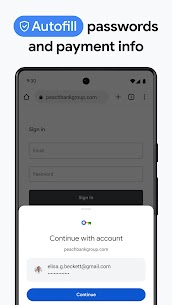 Google Chrome 2