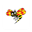App herunterladen Expressen Nyheter Installieren Sie Neueste APK Downloader
