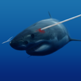 Spearfishing Shark icon