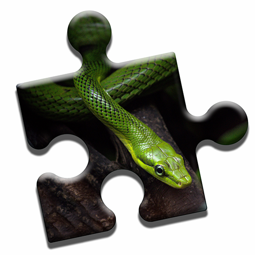 Snake Love Puzzle logo