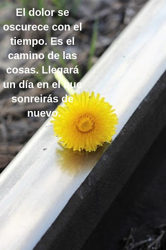 Mourning and Pain Quotes