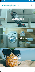 Washingears.com Cleaning Guide