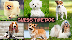 Dog quiz gameのおすすめ画像3