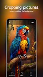 screenshot of Parrot Wallpapers 4K