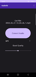 音频套件 APK（付费）2