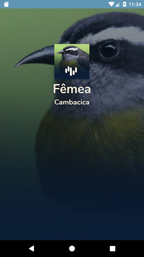 Android application Fêmea de Cambacica Chamando screenshort