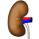 Cover Image of Descargar Kidney Stones Removal Remedies  APK