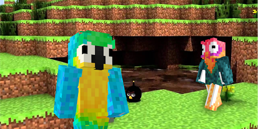 Bird Skins for Minecraft – Apps no Google Play