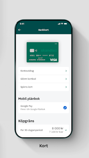 Skandia och Skandiabanken Screen 3