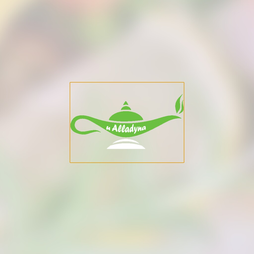 U Alladyna logo