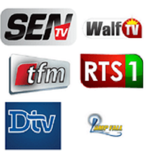 Captura de Pantalla 8 SENEGAL TV DIRECT HD android