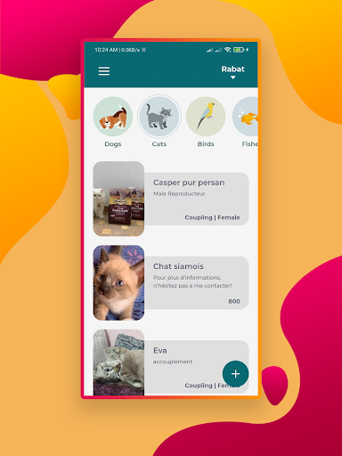 Happy Pet: Adoption Coupling Screen 3
